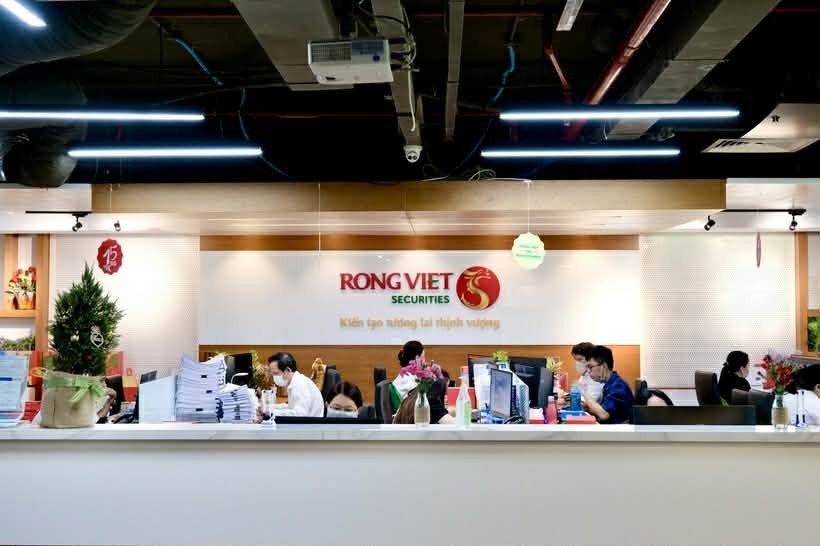 Thanh tra Chính phủ “điểm danh” Chứng khoán Rồng Việt: Vi phạm công bố thông tin trái phiếu