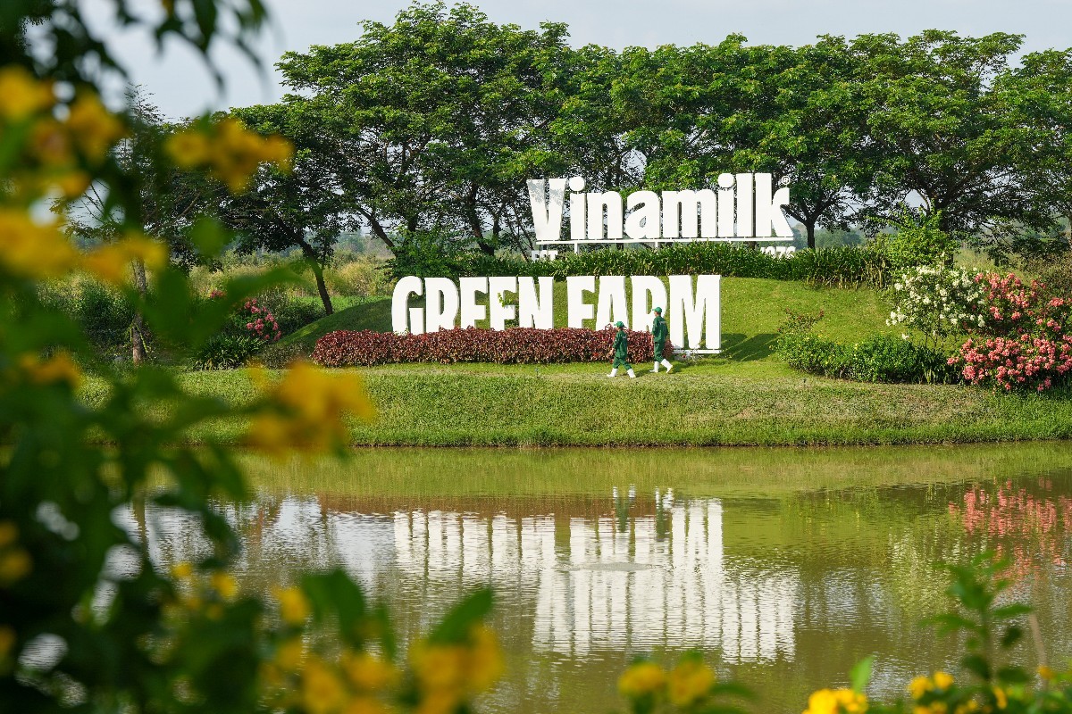 Vinamilk: "Ngôi sao" trong danh mục đầu tư, khẳng định hiệu quả bảo toàn vốn nhà nước